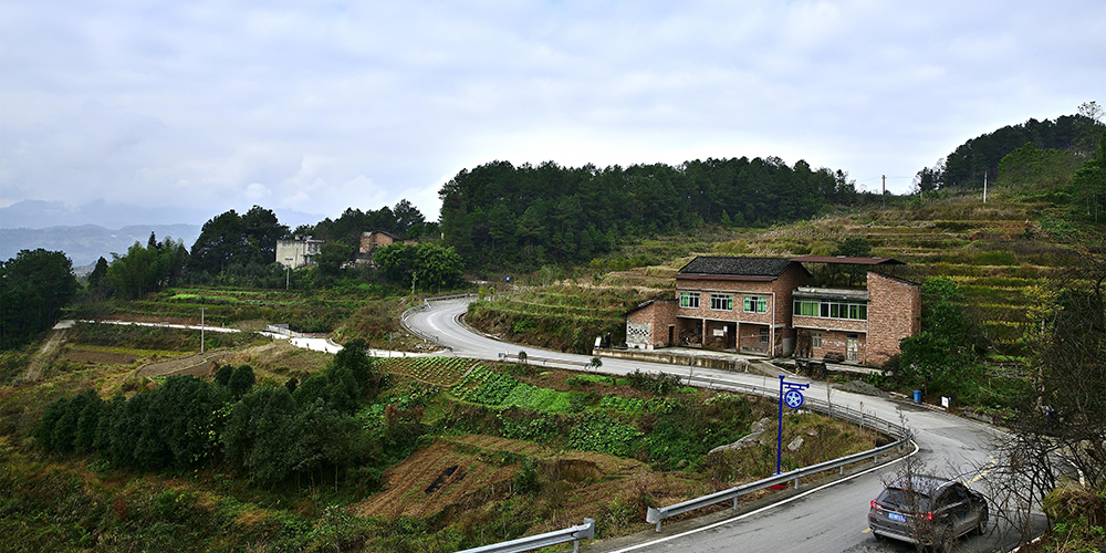 美丽乡村致富路