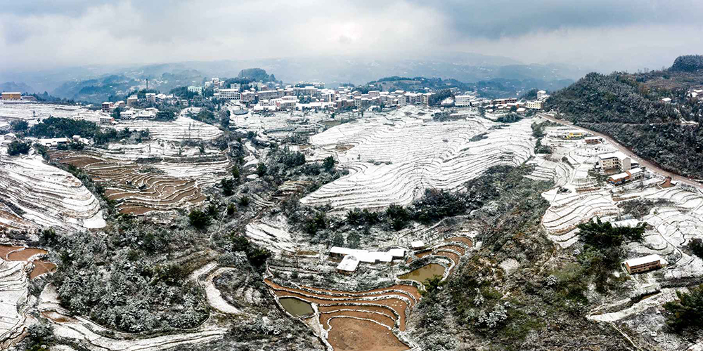 雪后高青