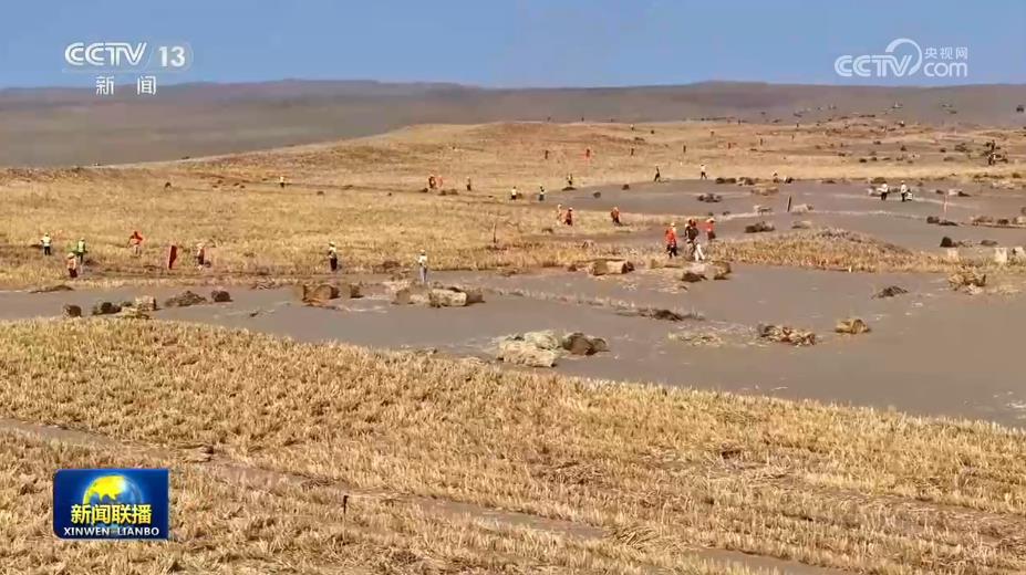  【新思想引领新征程】守护绿水青山 共绘美丽中国新画卷