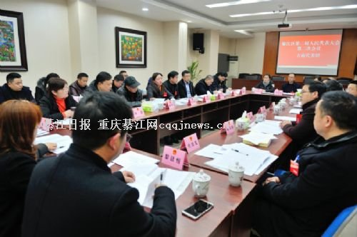  畅所欲言献良策 齐心协力促发展人大代表审议政府工作报告