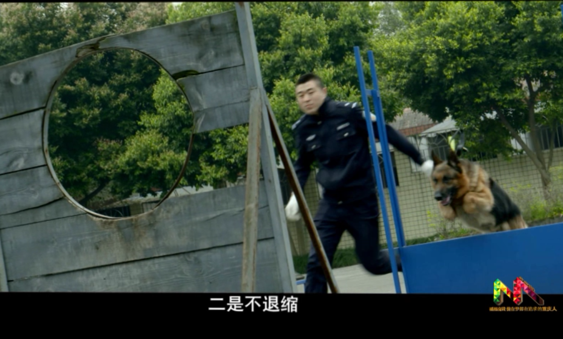  黑白世界